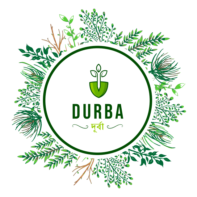 Durba