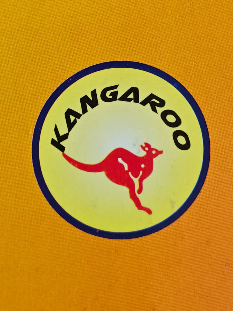 ক্যাঙ্গারু ফুটওয়্যার ইন্ডাষ্ট্রিজ লিমিটেড