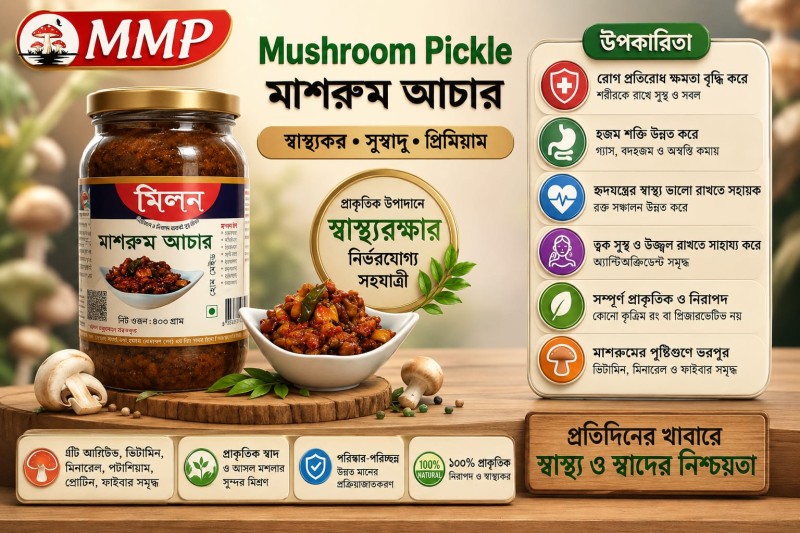মিলন মাশরুশ পল্লী