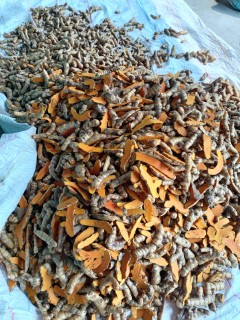 হলুদ গুঁড়া
