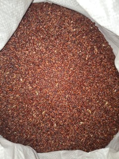 লাল চাউল (আমন ধানের ঢেকি ছাটা লাল চাউল )