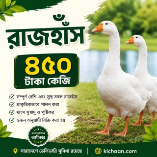 রাঁজ হাস