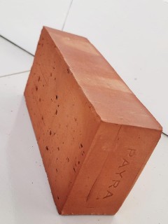 Payra Bricks