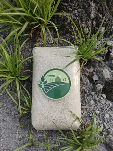 গোলাঘর পাহাড়ি চাল