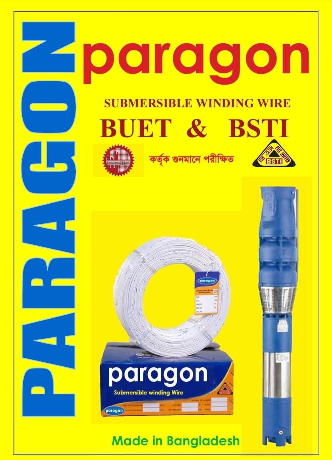 PARAGON PUMPS LIMITED