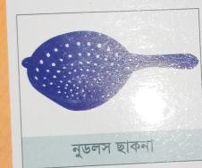 নুডলস ছাকনা