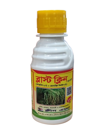 ব্লাস্ট ক্লিন