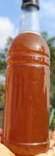 প্রাকৃতিক চাকের মধু