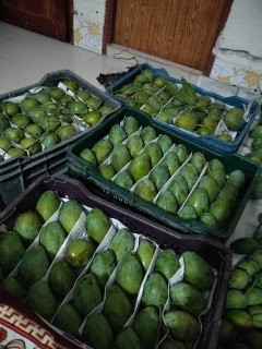 ফরমালিন ও কেমিক্যাল মুক্ত আম