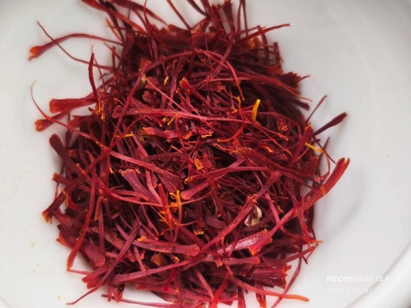 মিলেনিয়ালস মাশরুম