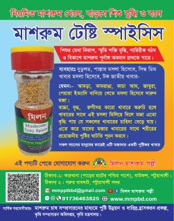 মাশরুম টেস্টি স্পাইসি